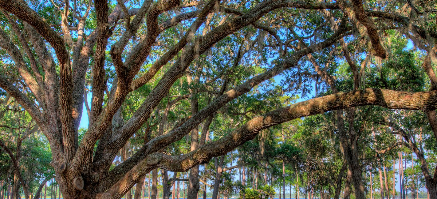 Gainesville New Home Community Oakmont