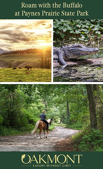 Roam with the Buffalo at Paynes Prairie State Park