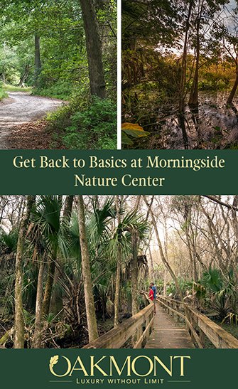 Get Back to Basics at Morningside Nature Center