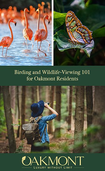 Birding and Wildlife-Viewing 101 for Oakmont Residents