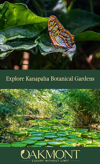 Kanapaha Botanical Gardens