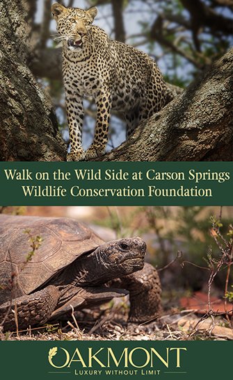 Walk on the Wild Side at Carson Springs Wildlife Conservation Foundation