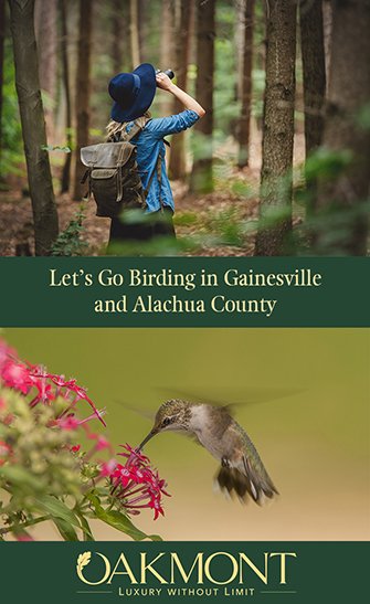 Let’s Go Birding in Gainesville and Alachua County