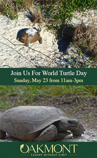 Oakmont World Turtle Day Event