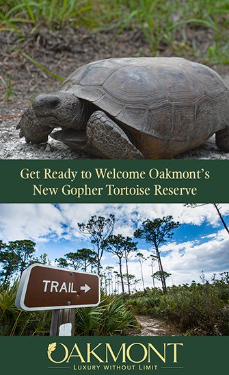 Get Ready to Welcome Oakmont's New Gopher Tortoise Reserve