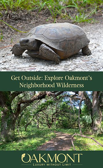 Get Outside Explore Oakmonts Neighborhood Wilderness