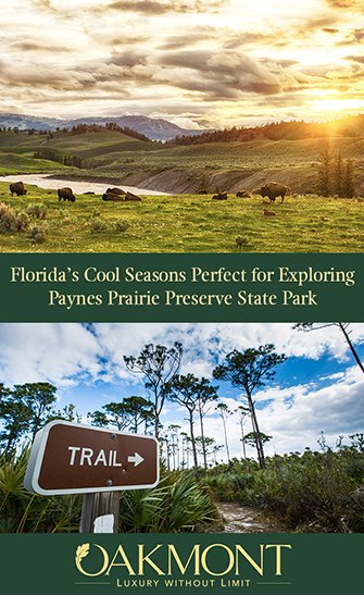 Florida’s Cool Seasons Perfect for Exploring Paynes Prairie Preserve State Park