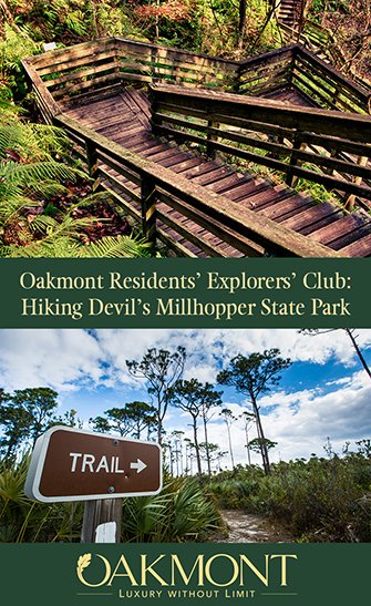 Hiking Devil’s Millhopper State Park