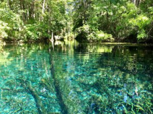 National Natural Landmarks - Silver Springs