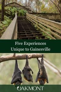Only Near Oakmont: Five Experiences Unique to Gainesville - Blog Graphic 800x1200 px